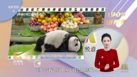 陌生人看到的老婆